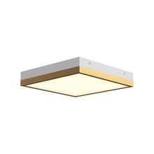 Load image into Gallery viewer, Sydney LED Flush Mount Ceiling Light in Aged Gold/White (Small).
