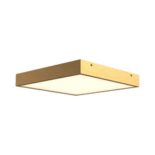 Load image into Gallery viewer, Sydney LED Flush Mount Ceiling Light in Aged Gold (Large).
