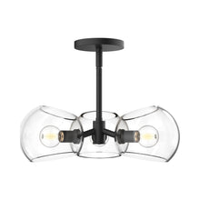 Load image into Gallery viewer, Willow Pendant Light in Matte Black/Clear Glass.
