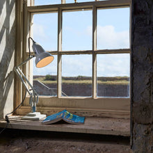 Load image into Gallery viewer, Original 1227 Desk Lamp in living room.
