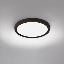 Load image into Gallery viewer, Argo LED Flush Mount Ceiling Light in Detail.
