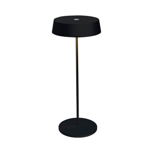 Alessandro Volta LED Portable Battery Table Lamp.