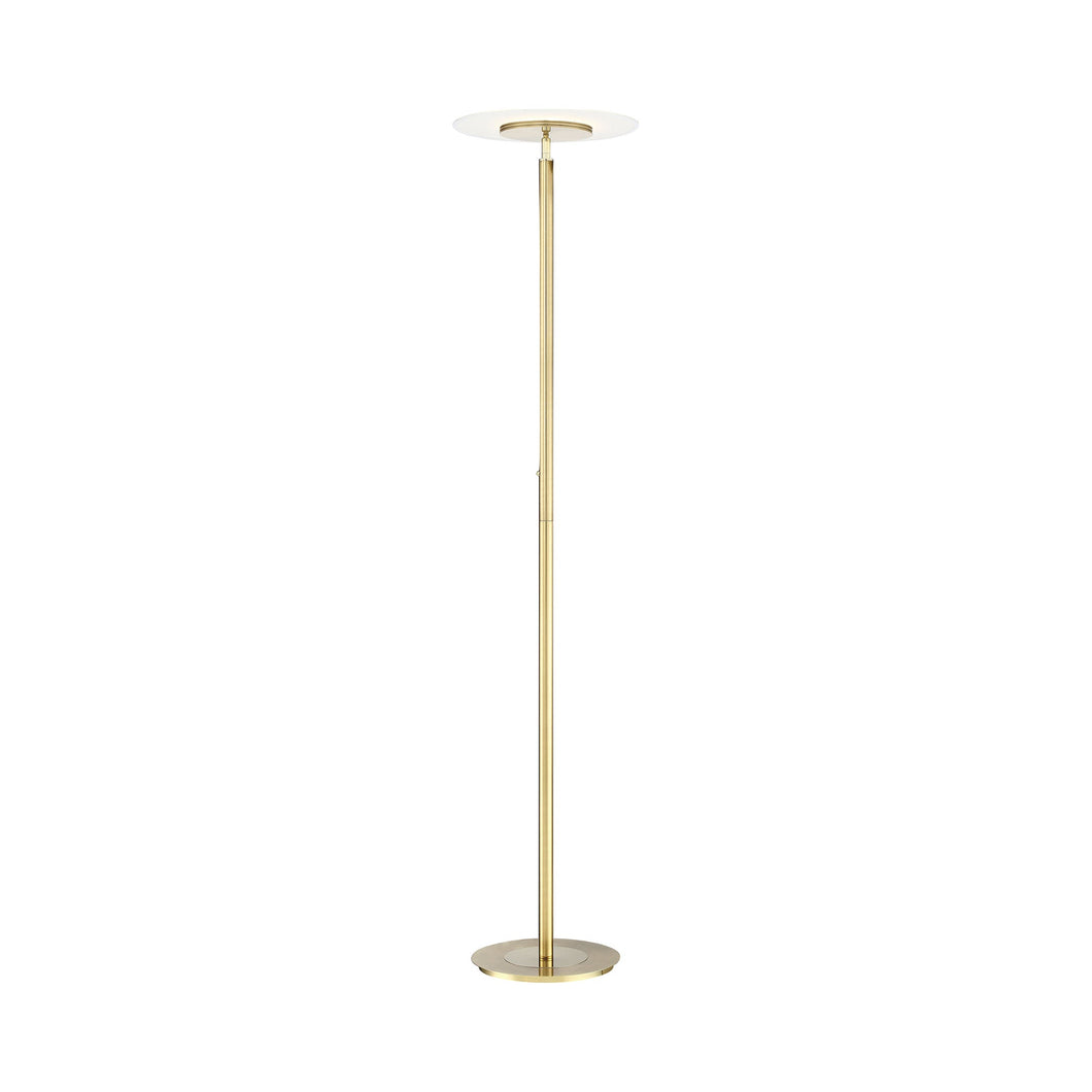Tampa LED Floor Lamp in Satin Brass (Single Pole).