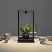 Load image into Gallery viewer, Curiosity LED Table Lamp in living room.
