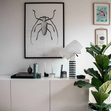 Load image into Gallery viewer, Shogun Table Lamp in living room.
