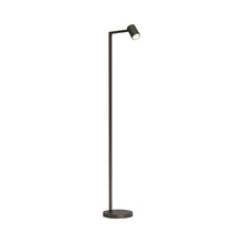 Load image into Gallery viewer, Ascoli Floor Lamp in Bronze.
