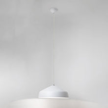 Load image into Gallery viewer, Ginestra Pendant Light in Detail.
