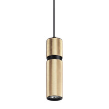 Load image into Gallery viewer, Cicada Pendant Light in Knurled Brass with Black Accents.
