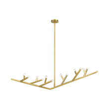 Load image into Gallery viewer, Oaks Chandelier in Brushed Brass (12-Light).
