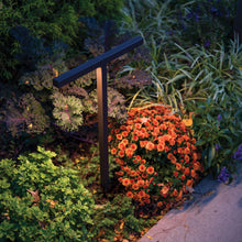 Load image into Gallery viewer, Balance Double LED Path Light in outside area.
