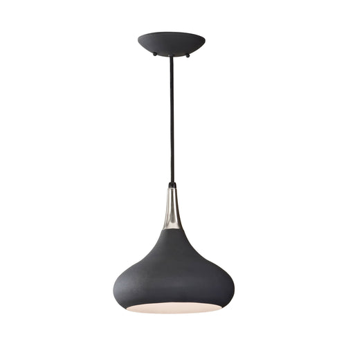 Belle Pendant Light in Black.