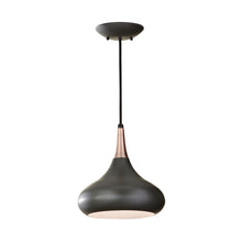 Load image into Gallery viewer, Belle Pendant Light in Dark Bronze.
