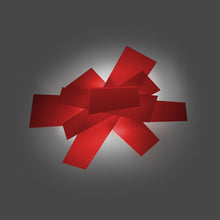 Load image into Gallery viewer, Big Bang Ceiling / Wall Light Detail.
