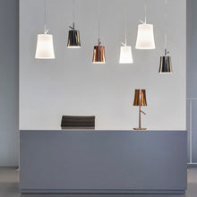 Load image into Gallery viewer, Birdie Pendant Light - Exhibition.
