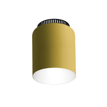 Load image into Gallery viewer, Aspen C17A Semi Flush Mount Ceiling Light in Lemon.
