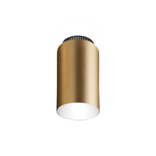 Load image into Gallery viewer, Aspen C17B Semi Flush Mount Ceiling Light in Brass.
