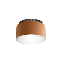 Load image into Gallery viewer, Aspen C40 Semi Flush Mount Ceiling Light in Mango (Tall).
