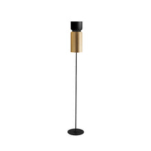 Load image into Gallery viewer, Aspen F17 Floor Lamp in Black/Brass.
