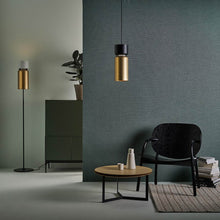 Load image into Gallery viewer, Aspen F17 Floor Lamp in living room.
