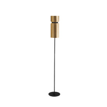 Load image into Gallery viewer, Aspen F17 Floor Lamp in Brass/Brass.
