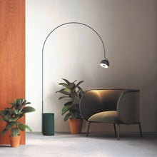 Load image into Gallery viewer, Bowee F LED Floor Lamp in living room.
