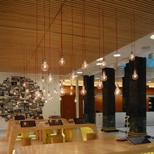 Load image into Gallery viewer, Ilde S1 Pendant Light in office.
