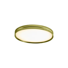 Load image into Gallery viewer, Lite Hole C/W LED Ceiling / Wall Light in Gold (Small).
