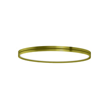 Load image into Gallery viewer, Lite Hole C/W LED Ceiling / Wall Light in Gold (Medium).
