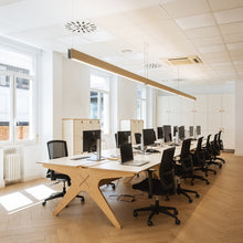 Load image into Gallery viewer, Marc Dos S LED Linear Pendant Light in office.

