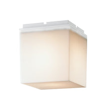 Load image into Gallery viewer, Q.Bo C/W Ceiling / Wall Light.
