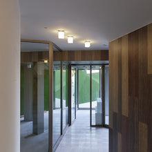 Load image into Gallery viewer, Q.Bo C/W Ceiling / Wall Light in hallway.
