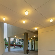 Load image into Gallery viewer, Q.Bo C/W Ceiling / Wall Light in Outside area.
