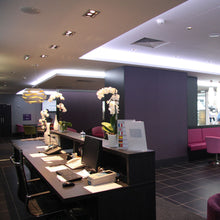 Load image into Gallery viewer, Tree Series S Pendant Light in restaurant.
