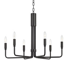 Load image into Gallery viewer, Brigitte Pendant Light in Old Bronze/6-Light.
