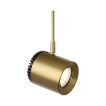 Load image into Gallery viewer, Burk Low Voltage FreeJack LED Head in Aged Brass.
