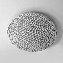 Load image into Gallery viewer, Calipso Ceiling/Wall Light.
