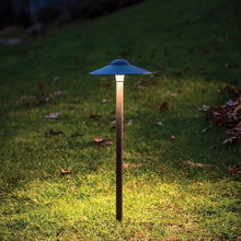 Load image into Gallery viewer, Canopy LED Path Light in outside area.
