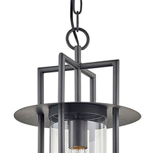 Load image into Gallery viewer, Carroll Park Outdoor Pendant Light in Detail.
