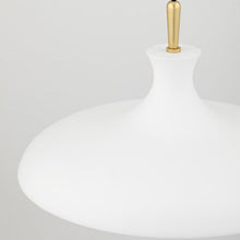 Load image into Gallery viewer, Cassidy Pendant Light Detail.
