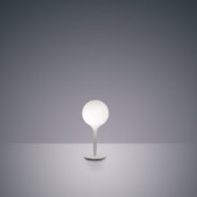 Load image into Gallery viewer, Castore Table Lamp in Small.
