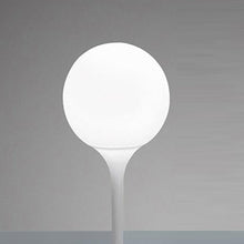 Load image into Gallery viewer, Castore Table Lamp in Detail.

