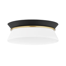 Load image into Gallery viewer, Cath Flush Mount Ceiling Light in Aged Brass / Black.
