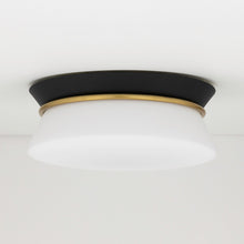 Load image into Gallery viewer, Cath Flush Mount Ceiling Light in Black and White.
