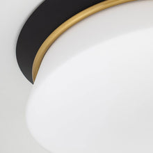 Load image into Gallery viewer, Cath Flush Mount Ceiling Light Detail.
