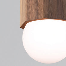 Load image into Gallery viewer, Bimar Pendant Light in Detail.
