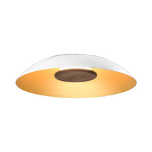 Load image into Gallery viewer, Volo LED Flush Mount Ceiling Light in Cava.
