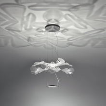 Load image into Gallery viewer, Chlorophilia LED Suspension Light in Detail.
