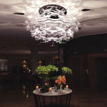 Load image into Gallery viewer, Chlorophilia LED Suspension Light in living room.

