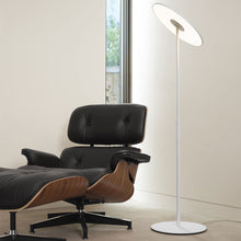 Load image into Gallery viewer, Circa LED Floor Lamp in living room.
