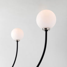 Load image into Gallery viewer, Coco Chandelier Detail.

